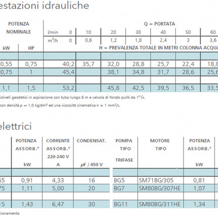 Lowara - Elettropompa Centrifuga Autoadescante 1.50 HP - 1.10 KW - 220V