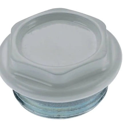 Tappo Verniciato 1" Per Radiatori  - Sinistro