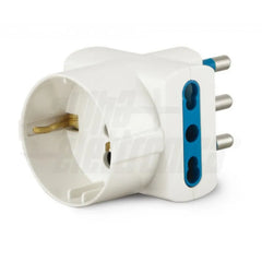 Collection image for: Spinotteria