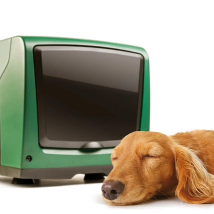 Dab - E.Sybox Mini 3 Sistema Elettronico Inverter Di Pressurizzazione Automatico 1.07 Hp - Articolo: 60179457