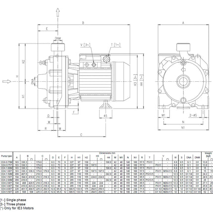Ebara - Elettropompa Centrifuga Bigirante 3 Hp - Modello: Cda 3.00 T - Articolo: 121030004I