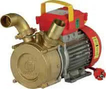 Rover Pompe - Elettropompa Travaso Liquidi 1 Hp 220V - Articolo: Be-M30