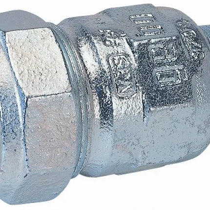 Bisgiunto Maschio 2" Ghisa Zincato