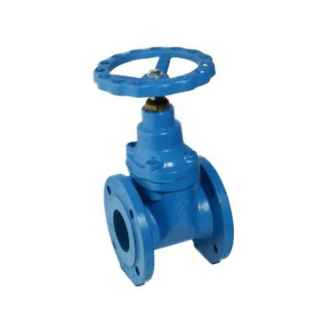 Saracinesca Ghisa Pn16 Dn 125 Corpo Piatto