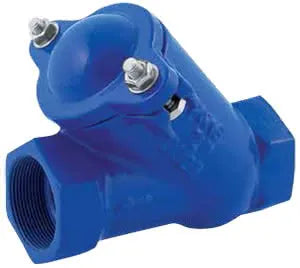 Valvola Di Ritegno A Palla Filettata 2"